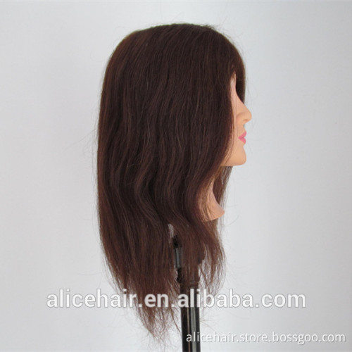 Cheap price 100% human hair training head for hairdressers